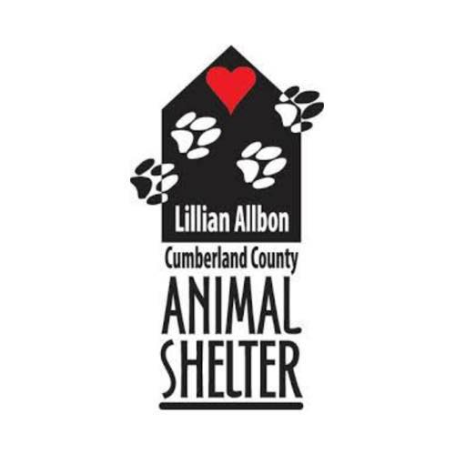 LA Animal Shelter